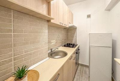 Garsoniera Cismigiu Fara risc /35mp/1960/Bloc caramida Garsoniera Cismigiu Fara risc /35mp/1960/Bloc caramida - 8