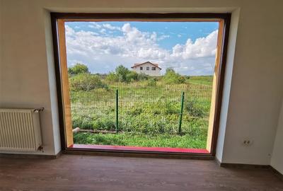 Vila Deosebita Rudicica - 19