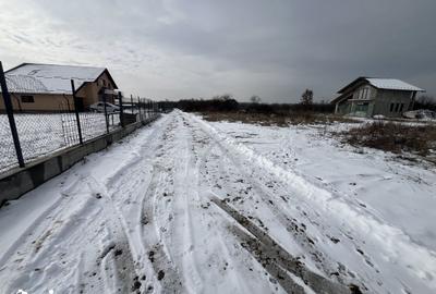 Teren de 800 mp, în Moșoaia - 3