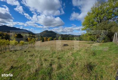 Spațiu comercial, în Șieu - 3