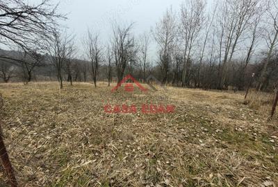 Casă cu Teren 1358 Mp în Gura Beliei - 16