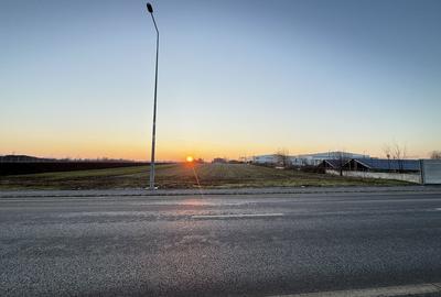 Teren de 5000 mp, în Brănești - 3