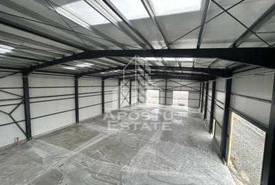 Hala cu Showroom, Strada Aeroport, aproape de VGP. - 3