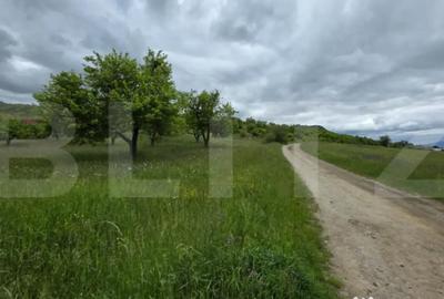 Teren de 3400 mp, în Central - 4