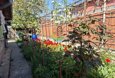 Casă individuală cu 2 camere cu Canalizare în Berceni - 2