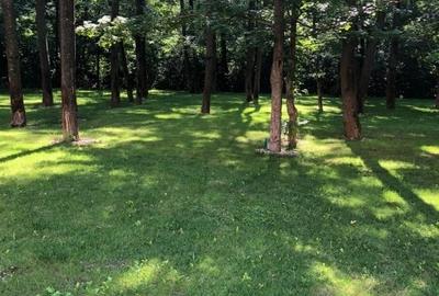 Apartament deosebit,spatios, mobilat, utilat, Bulevardul Pipera nr.131 - 13