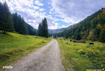 Spațiu comercial, în Central