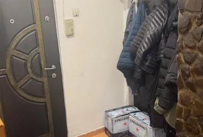 Apartament cu 2 camere, suprafata de 45 mp, langa lacul Noua - 4