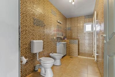 Casa noua 246 mp cu teren 1363 mp  de vanzare Sannicolau Mic, Arad - 9