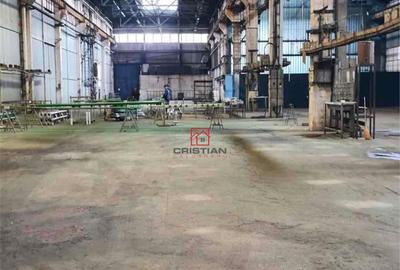 Hala/depozit/spatiu industrial Brasov - Tractorul, Brasov - 2