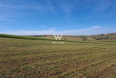 Parcele de teren intravilan constructii Șura Mare Sibiu - 7