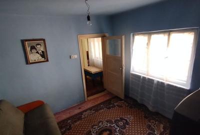 Teren pentru casă verde langa promenada din Ovidiu - 11