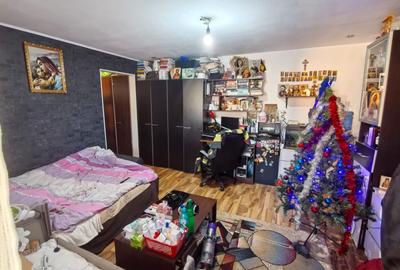 Apartament cu 2 camere  Dacia-Torontalului Iulis Mall - 4