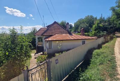 Casă cu 5 camere în Central - 6