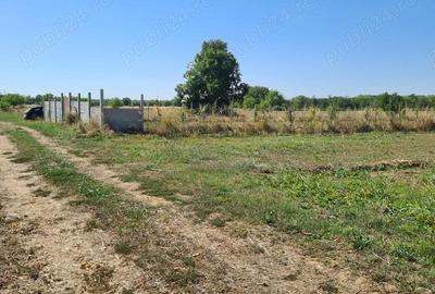 Teren de 5000 mp, în Central - 6