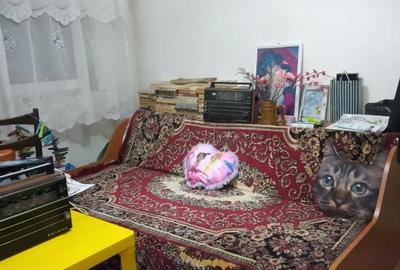 Apartament cu 3 camere decomandat în Central - 1