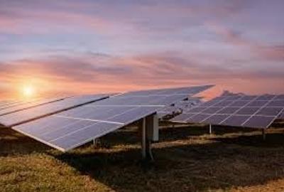 Teren agricol intravilan de 38000 mp, în Ghizdaru - 5