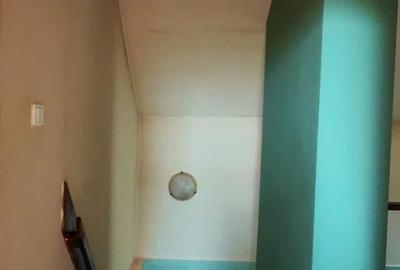 Vilă cu 5 camere, singur în curte, acces auto , lângă Magazinul Crișul , Oradea. - 10