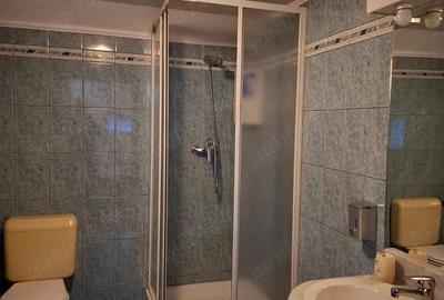 Casa D+P+E, Lipovei-Iulius Mall Casa D+P+E, Lipovei-Iulius Mall - 11