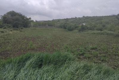 Teren de 3000 mp, în Central