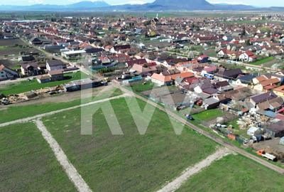 Teren Construcții intravilan de 447 mp, în Hălchiu - 10