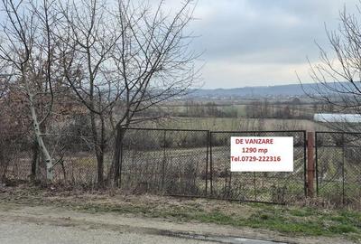 Spațiu comercial, în Coltău - 2