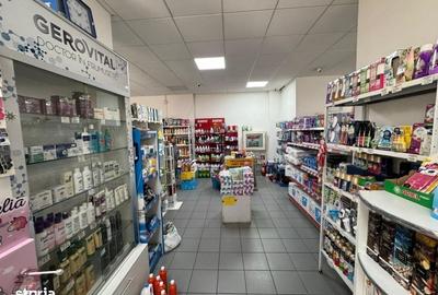 Spațiu comercial, de 92 mp, în Brazda lui Novac - 11
