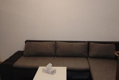 Apartament cu 2 camere semidecomandat în Sud - 5