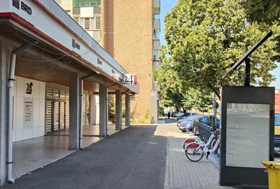 Ap 2 camere Micalaca Miorita calea Radnei, Kaufland renovat - 2