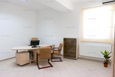 Spatiu de inchiriat, 809mp, amenajat, Tatarasi Sud - 11