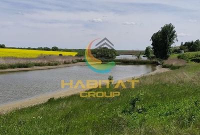 Teren Construcții intravilan de 450 mp, în Frumușani - 6