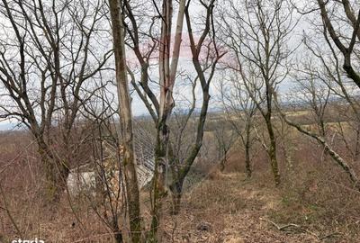 Spațiu comercial, în Tăuții-Măgherăuș - 2