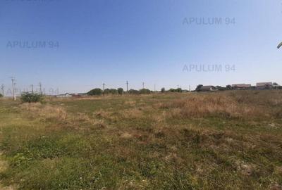 Teren pentru investitie langa Bucuresti - 3