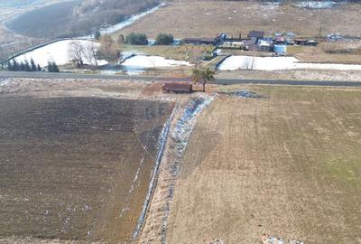 Teren pentru cabana 7.000mp in Hoghilag, Taramul Tubero... - 4