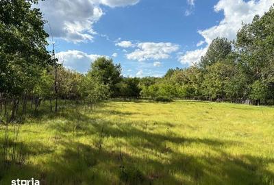 Teren de 5000 mp, în Polovragi - 6