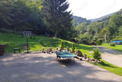 Cabana Sibiu Intravilan 4622mp Munte - 2