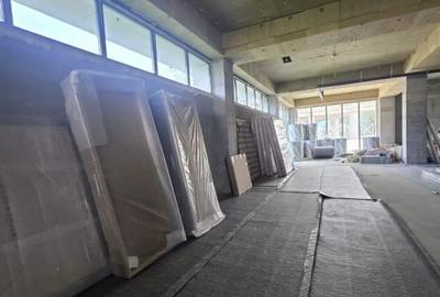 Spațiu comercial, de 440 mp, în Viilor - 1