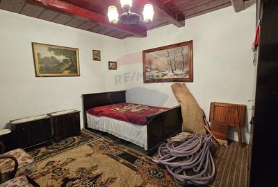 Casă individuală cu 2 camere cu Teren 9200 Mp în Pădureni (Șendriceni) - 4