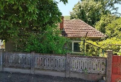 Casă cu 3 camere în Orevița Mare - 4