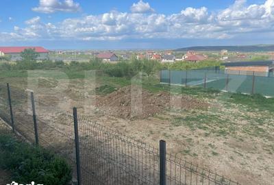 Casă cu 3 camere cu Teren 335 Mp în Paleu - 2