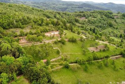 Teren de 2000 mp, în Brusturi - 1