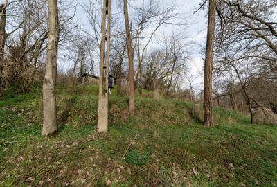 Teren de vanzare 1221 mp in Budeasa Mica, zona lini? - 10