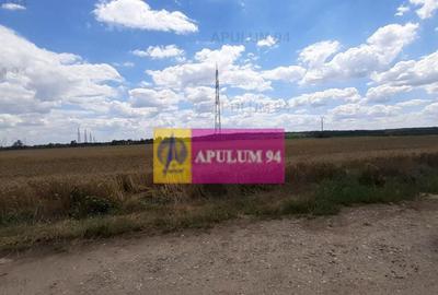 Teren de 715 mp, în Snagov - 26