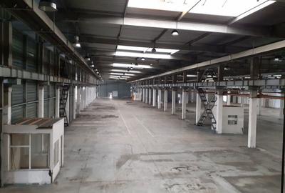 Spațiu comercial, de 2,920 mp, în Timișoara - 13