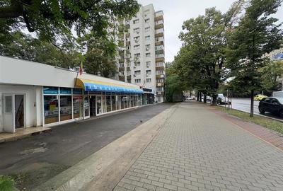 Spațiu comercial, de 240 mp, în Independenței - 2