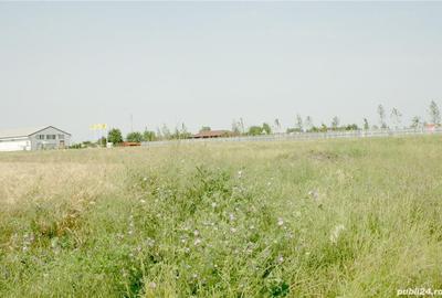 Teren de 8000 mp, în Otopeni - 2