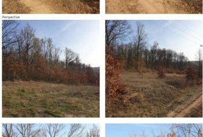 Teren Construcții intravilan de 2410 mp, în Paleu - 3