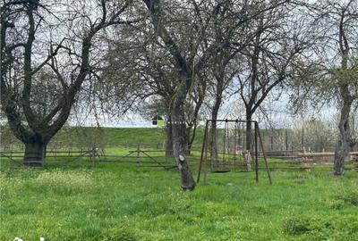 Casă cu 2 camere cu Teren 1850 Mp în Dobârlău - 8