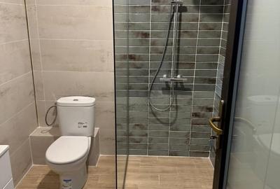 Apartament 4 Camere Pe 3 Niveluri + Curte Proprie 40 mp2 , Metrou Crangasi - 9