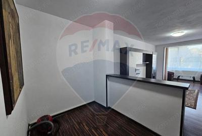 Apartament cu 2 camere de inchiriat - 2